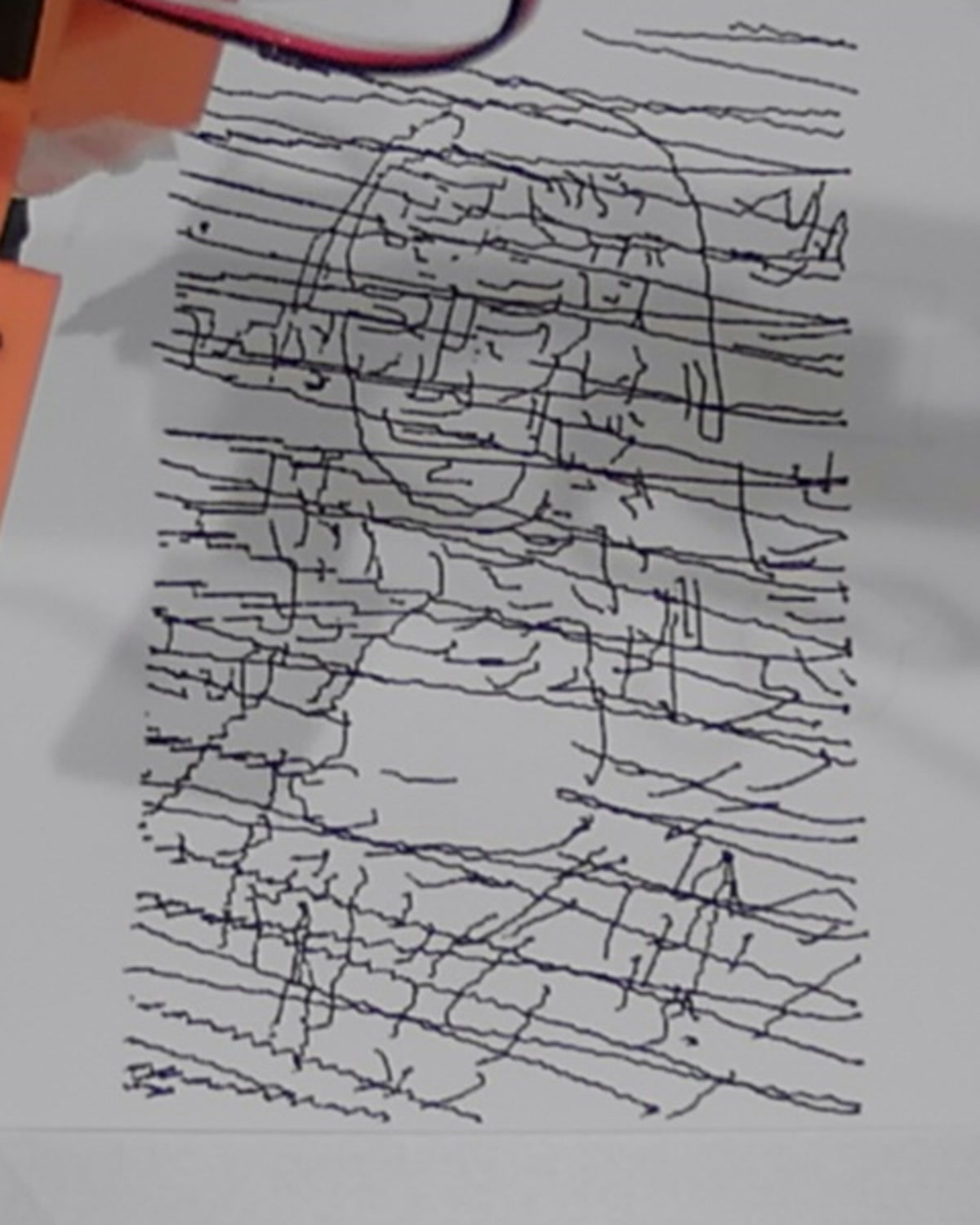 Actual second portrait: a coarse pen rendition with visible line and placement variations